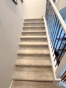 Calgary Carpet Cleaning — Homes, Condos & Apartments - Photo 5
