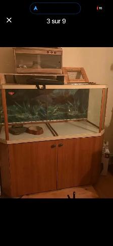 terrarium - Photo 2