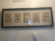 Leonatoodrvinci wall art