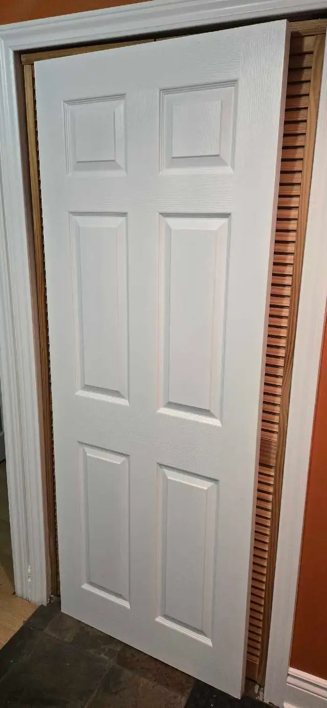 6 panel door 30'X78'