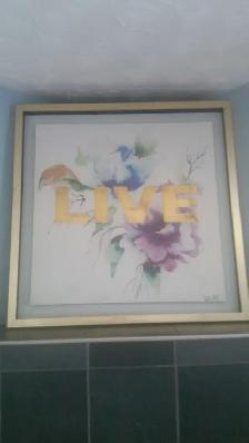 Picture (LIVE) 50$obo