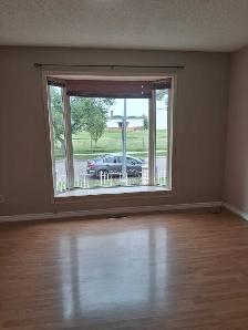 Bright, Renovated 2 Bed Main Floor in Allendale - Pet Friendly - Photo 2