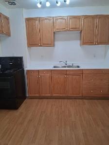 Bright, Renovated 2 Bed Main Floor in Allendale - Pet Friendly - Photo 5