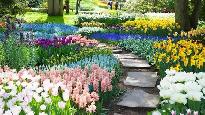 gardener Wanted