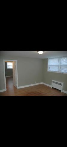 1 BEDROOM APARTMENT FOR RENT - Photo 4