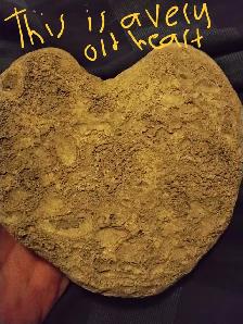 Ancient artifact immortal god stone heart super rare (petrified) - Photo 2