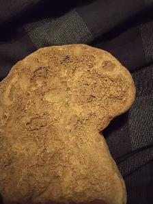 Ancient artifact immortal god stone heart super rare (petrified) - Photo 4
