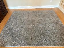 Free delivery used Grey Area Rug
