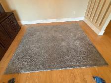 Free delivery used Grey Area Rug - Photo 2