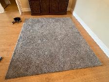 Free delivery used Grey Area Rug - Photo 4