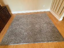 Free delivery used Grey Area Rug - Photo 7