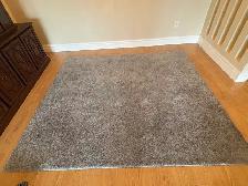 Free delivery used Grey Area Rug - Photo 8