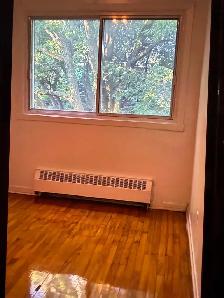 Spacious 3 1/2 near Loyola Campus - Photo 3
