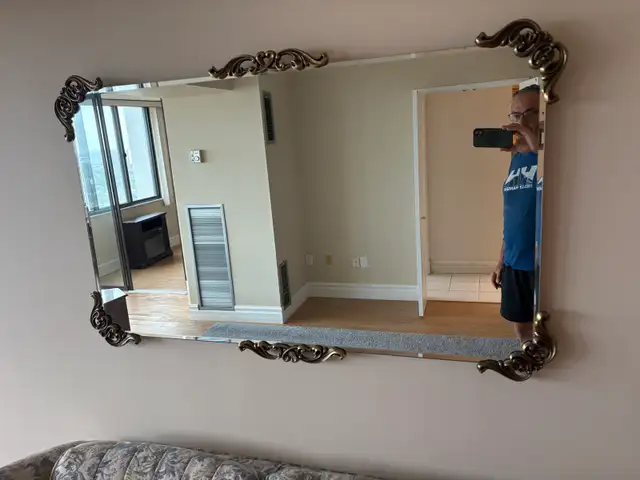 Free delivery used Decorative Wall Mirror with Ornate Gold Trim