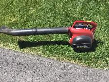 LEAF BLOWER