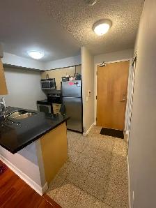 1 BDRM condo, with parking, underground subway access North York - Photo 2