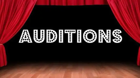 looking to audition for a sarcastic and witty role in a comedy