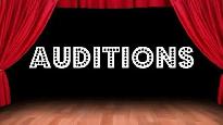 looking to audition for a sarcastic and witty role in a comedy