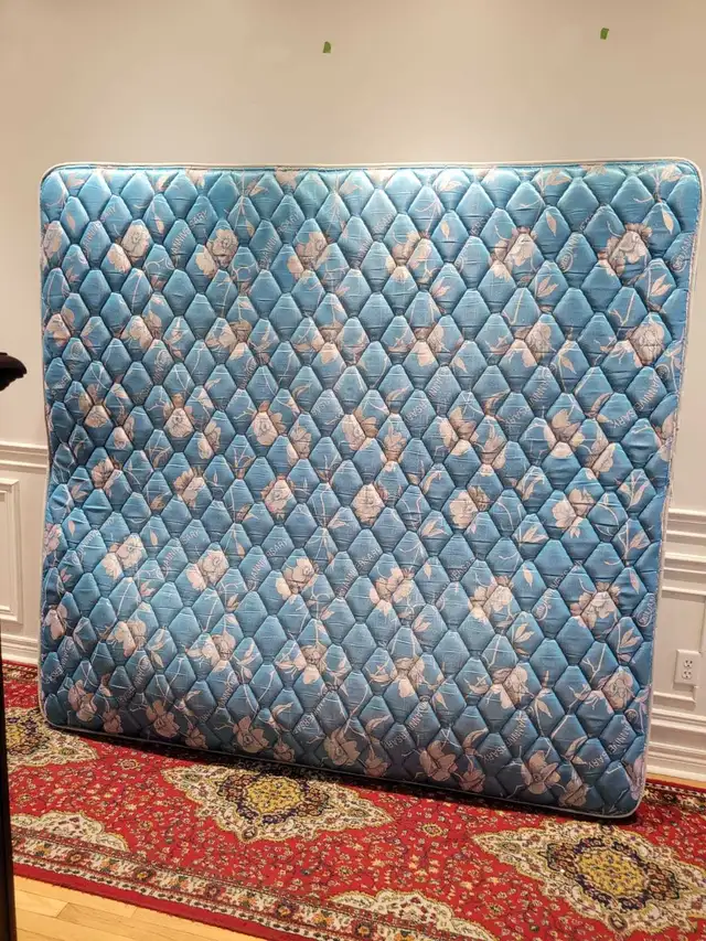 king mattress & box spring with frame