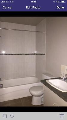 3 Bedroom Basement unit near Bonnie - Photo 5