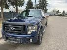 2009 Ford F150