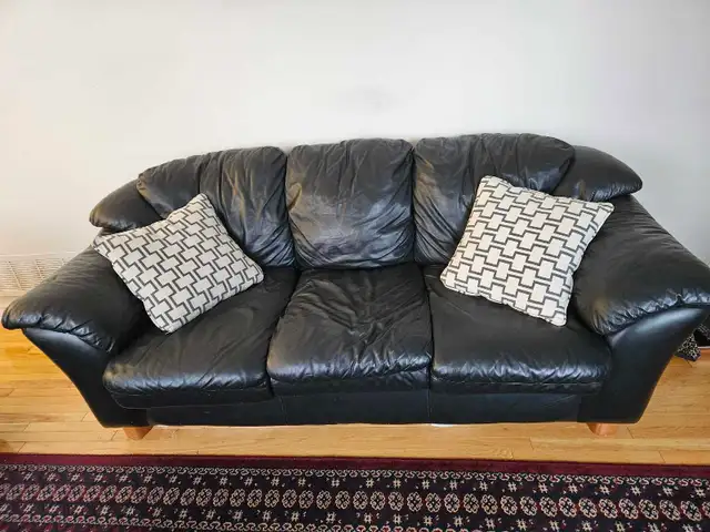Leather Sofa Set