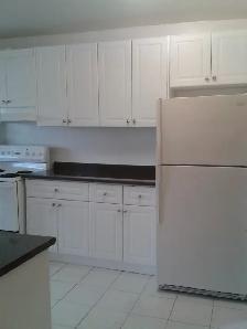 2 1 Bedroom Apartment for Rent