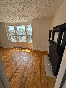 2 1 Bedroom Apartment for Rent - Photo 3