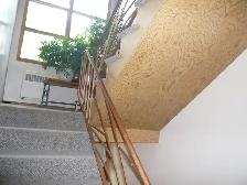 Beltline connaught 1 bedroom apartment $1080/m   electricity - Photo 8