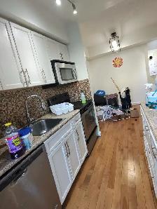 Vaughan, Etobicoke Brampton East cleaners - Photo 3