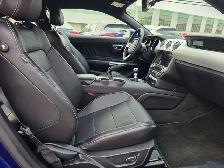 2015 Ford Mustang EcoBoost Premium - Photo 22
