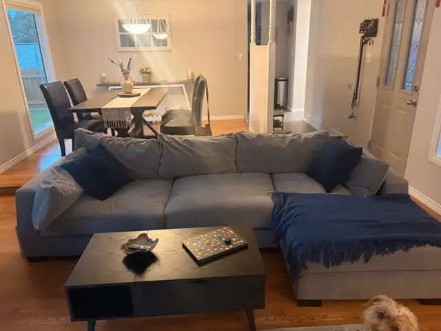 Auberge sectional scratch proof sofa