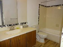 Erinwood main floor 3 bedroom , sep laundry $1420/m  60% UT - Photo 5