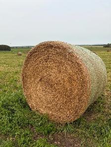 Hay for sale