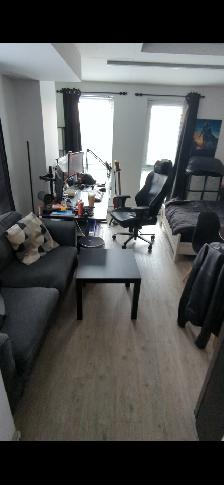 Studio Montréal 1661 rue berri H2L 0A9 - Photo 2