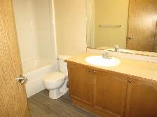 two bed room condo for rent - Photo 9