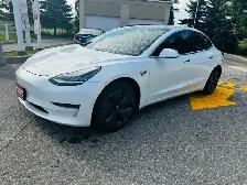 2020 Tesla Model 3 Standard Range Plus RWD - Photo 2