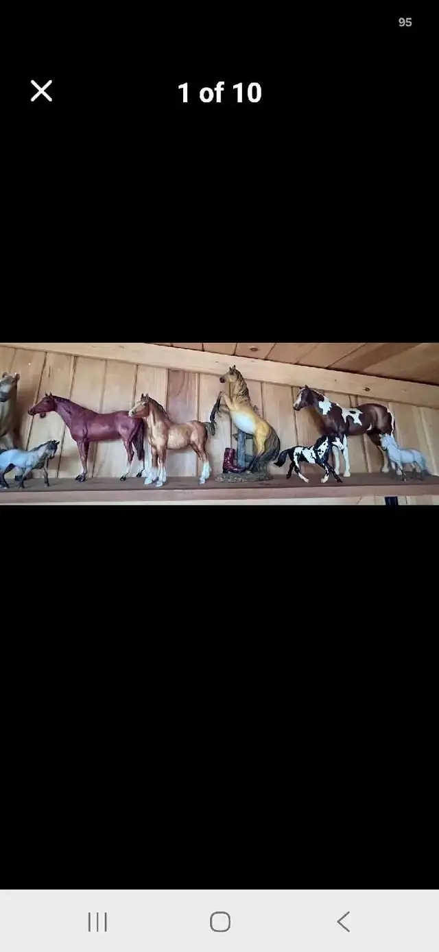 Horse decoration