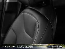 2026 Kia Niro EV Wave - Photo 20
