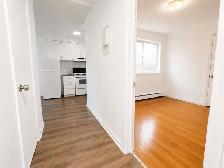 1 CH - 1 SDB - Montréal - $1,340 /mo - Photo 4