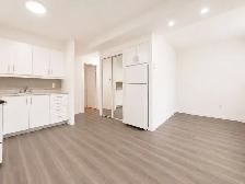 1 CH - 1 SDB - Montréal - $1,340 /mo - Photo 2