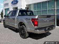 2024 Ford F-150 STX - Photo 4