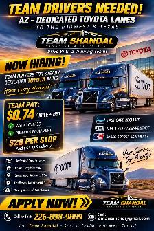 Team Driver needed