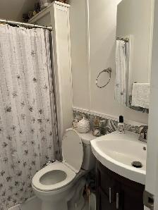 Florida 2008 Mobile Home with Guest house - Photo 9