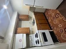 1-Bedroom Basement Apartment @ Sheppard/Morningside - Photo 4