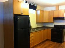 Willowgrove 2 bedroom basement suite