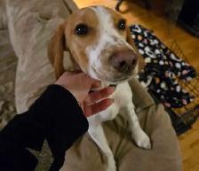 Comet needs a new home