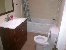 2 Bedroom Walkout Basement for Rent (Ajax) - Photo 5