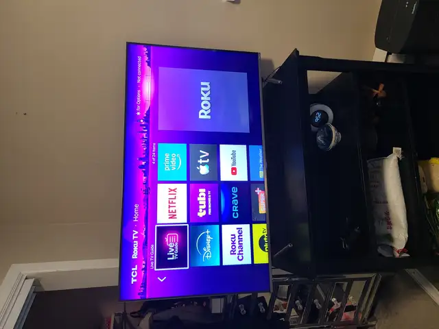 Roku TCL 44' TV