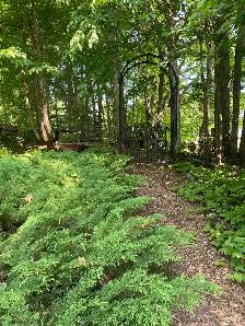 5 Bedroom 5-level Split/Deeded Access Lake Muskoka - Photo 6